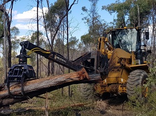 loader and skid steer grapples